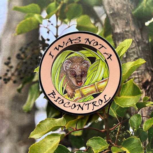 Mongoose/Biocontrol sticker