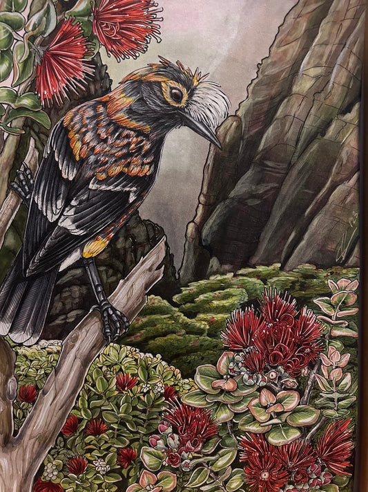 'Ākohekohe and 'ōhi'a original