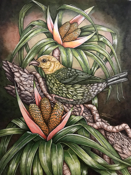 'Ō’ū on ‘ie’ie original