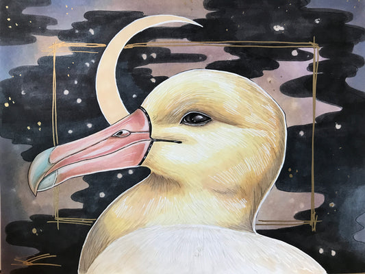 Short tailed albatross original