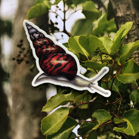 Pūpū kuahiwi sticker