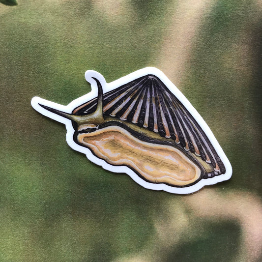'Opihi 'ālinalina sticker