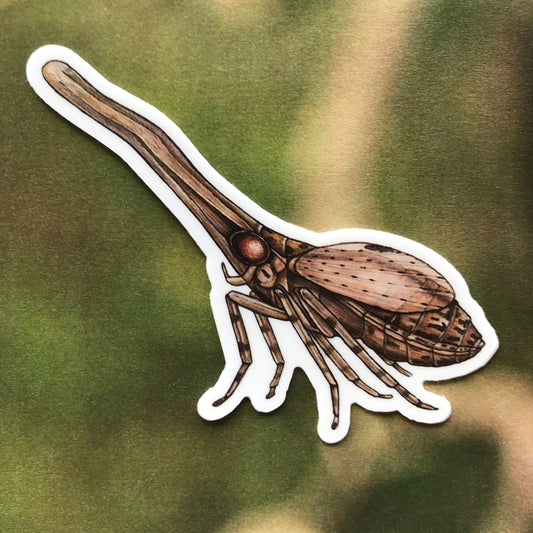 Umi'i 'akoko sticker