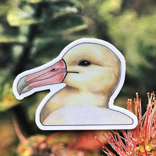 Short tailed albatross sticker