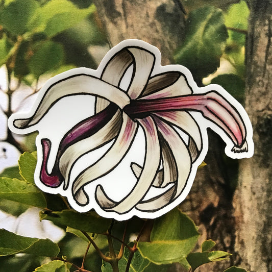 ‘Ōhā wai (Clermontia parviflora) sticker