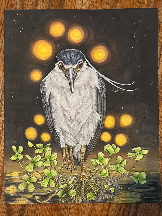 ‘Auku’u and ‘ihi’ihilauākea print