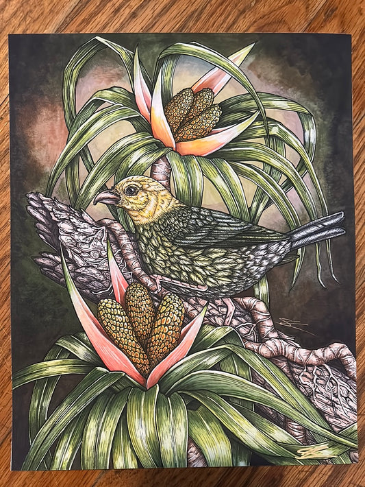 ʻŌʻū and ʻieʻie print